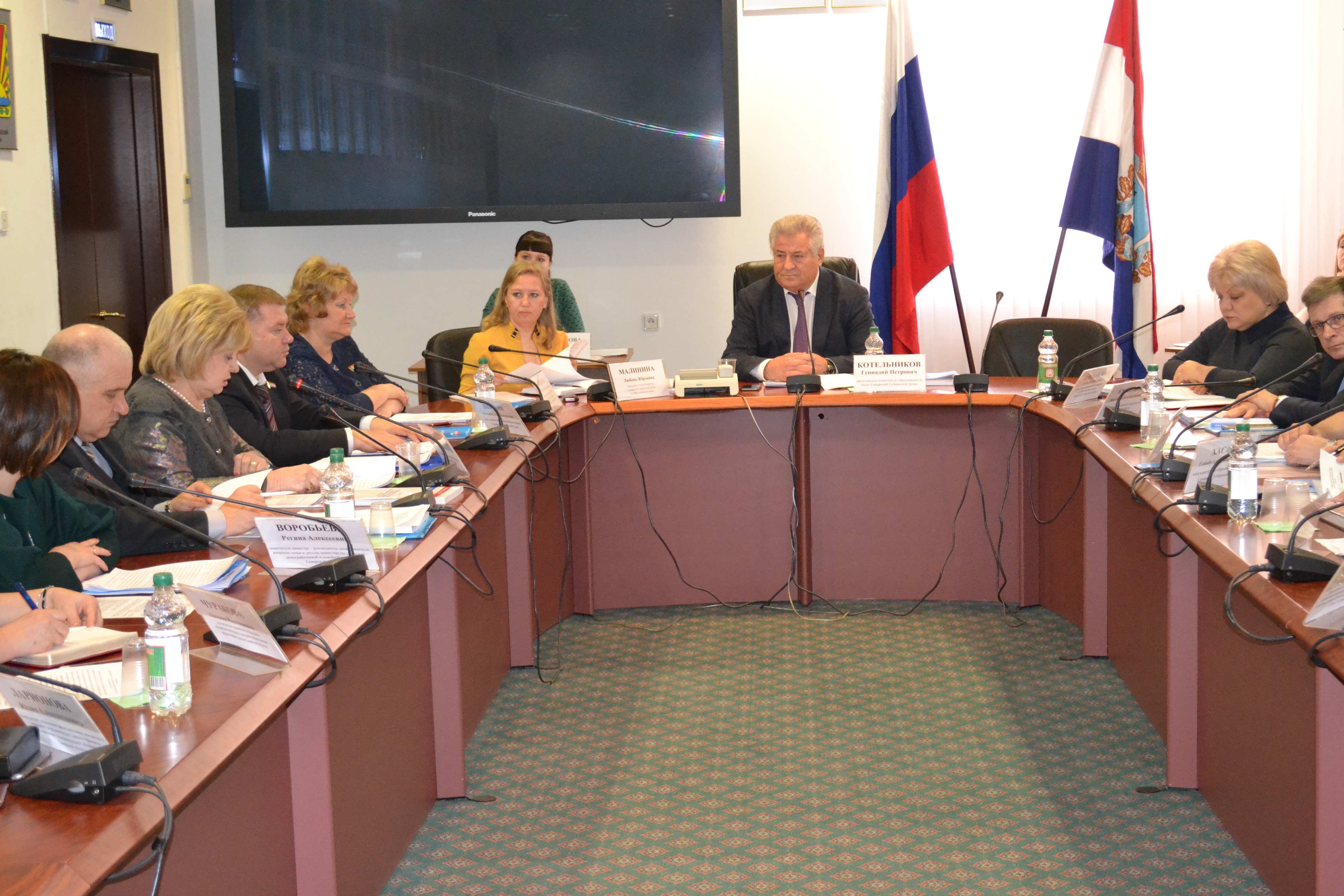 Заседание комитета по образованию и науке Самарской Губернской Думы