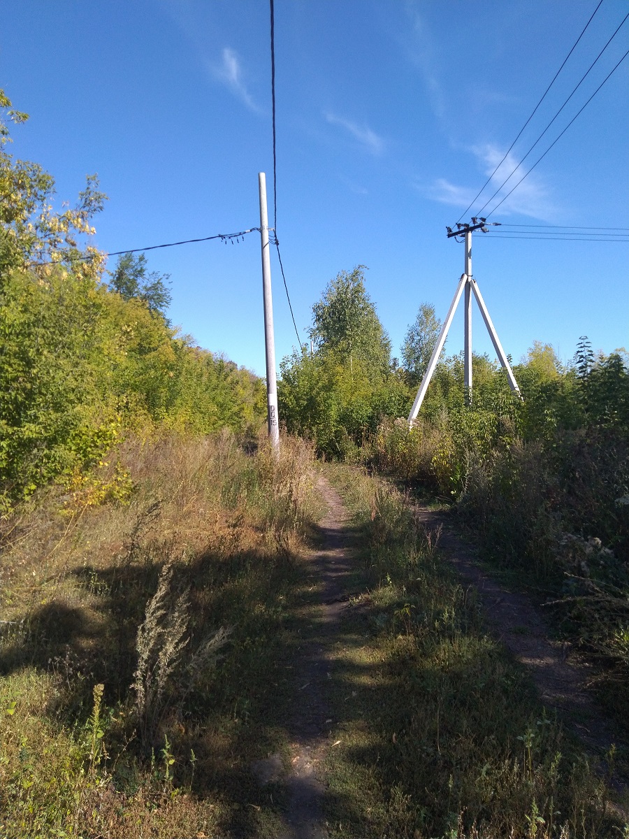 Выезд в муниципальный район Красноярский